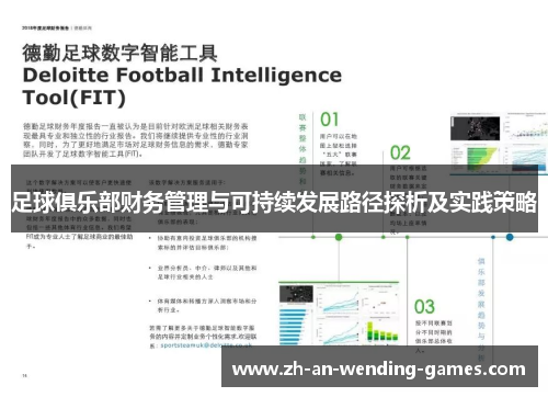 足球俱乐部财务管理与可持续发展路径探析及实践策略 足球俱乐部财务管理与可持续发展路径探析及实践策略